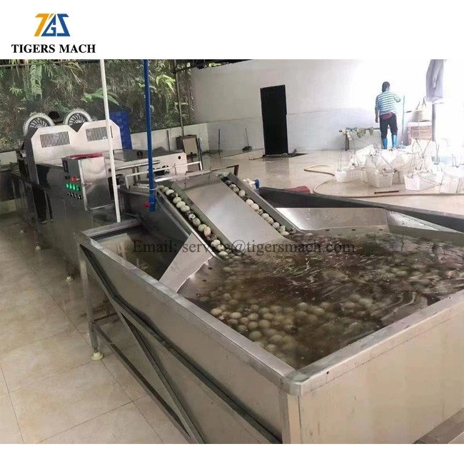 Egg cleaning and washing equipment